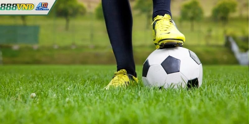 Dấu hiệu nhận biết kèo rung chuẩn